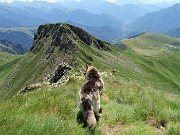 49 Scendendo dal Tribortoi alla Bocchetta con vista sul Triomen